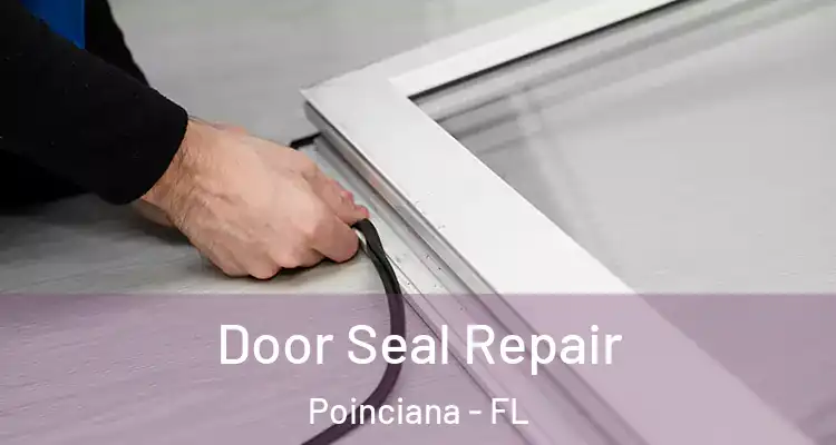  Door Seal Repair Poinciana - FL