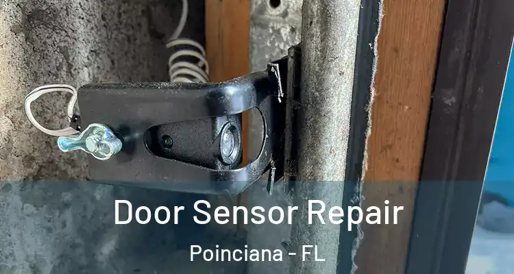  Door Sensor Repair Poinciana - FL