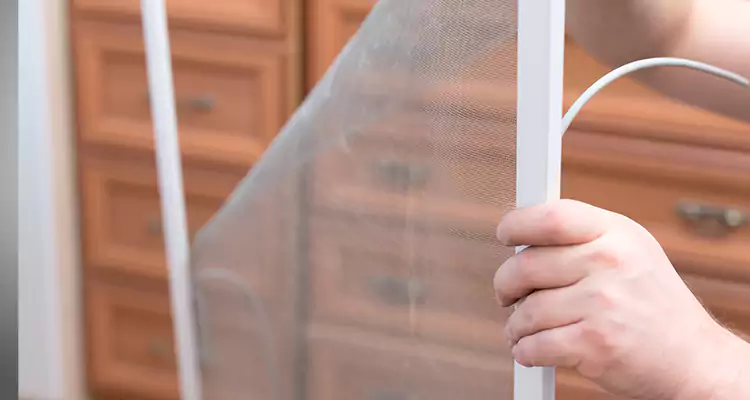 Privacy Mesh Screen Door Installation in Poinciana, FL