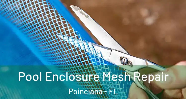  Pool Enclosure Mesh Repair Poinciana - FL