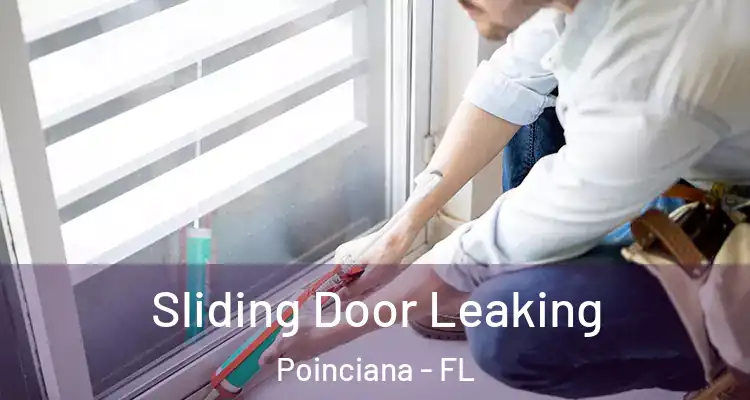  Sliding Door Leaking Poinciana - FL