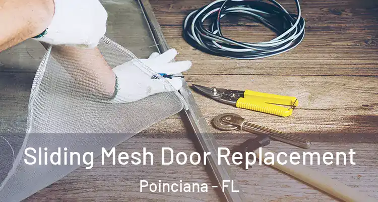  Sliding Mesh Door Replacement Poinciana - FL