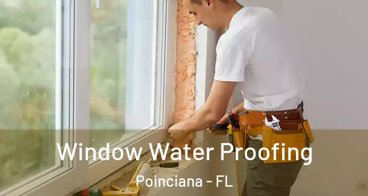  Window Water Proofing Poinciana - FL
